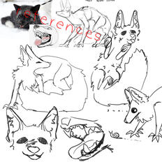 Sketches of my werefox theriotype
